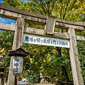 「安井金比羅宮」など京都最強の縁切り神社・お寺・スポット8選。悪縁を切る