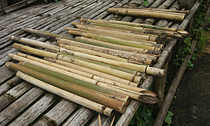 尺八の作り方～竹の採集から外観のしつらえまで～