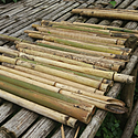尺八の作り方～竹の採集から外観のしつらえまで～