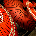 和傘とは？歴史や種類、特徴、使い方をご紹介！