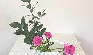 アトリエ 森の林檎／東京都杉並区の華道（生け花）教室