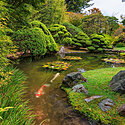 日本庭園とは？定義や特徴について