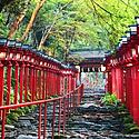 【Kifune Shrine】Power Spot in Kyoto